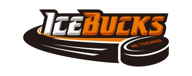 栃木ゴールデンブレーブス10周年記念